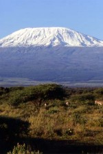 kilimanjaro junglephotos Kilimanjaro Mountain