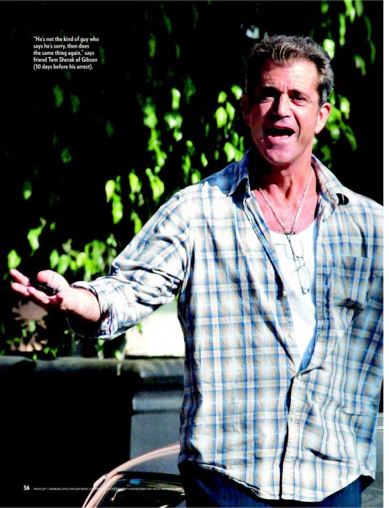 Mel Gibson pulled out for over-speed under alcoholic influence